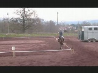 Championnats départementaux de dressage