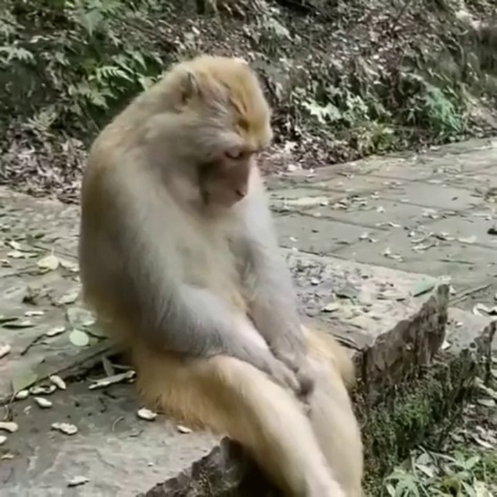 Me watching all deals during sale days with Rs. 762- in my account.