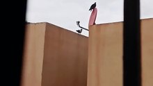 ✨ Bandada de palomas y aves visita el techo del vecino 🏠 ¡Un regalo del cielo! 🕊️ #Shorts