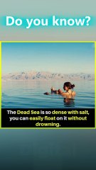The Dead Sea: Why It’s So Dense with Salt and How It Makes You Float! 🌊🧂 | Amazing Nature Facts