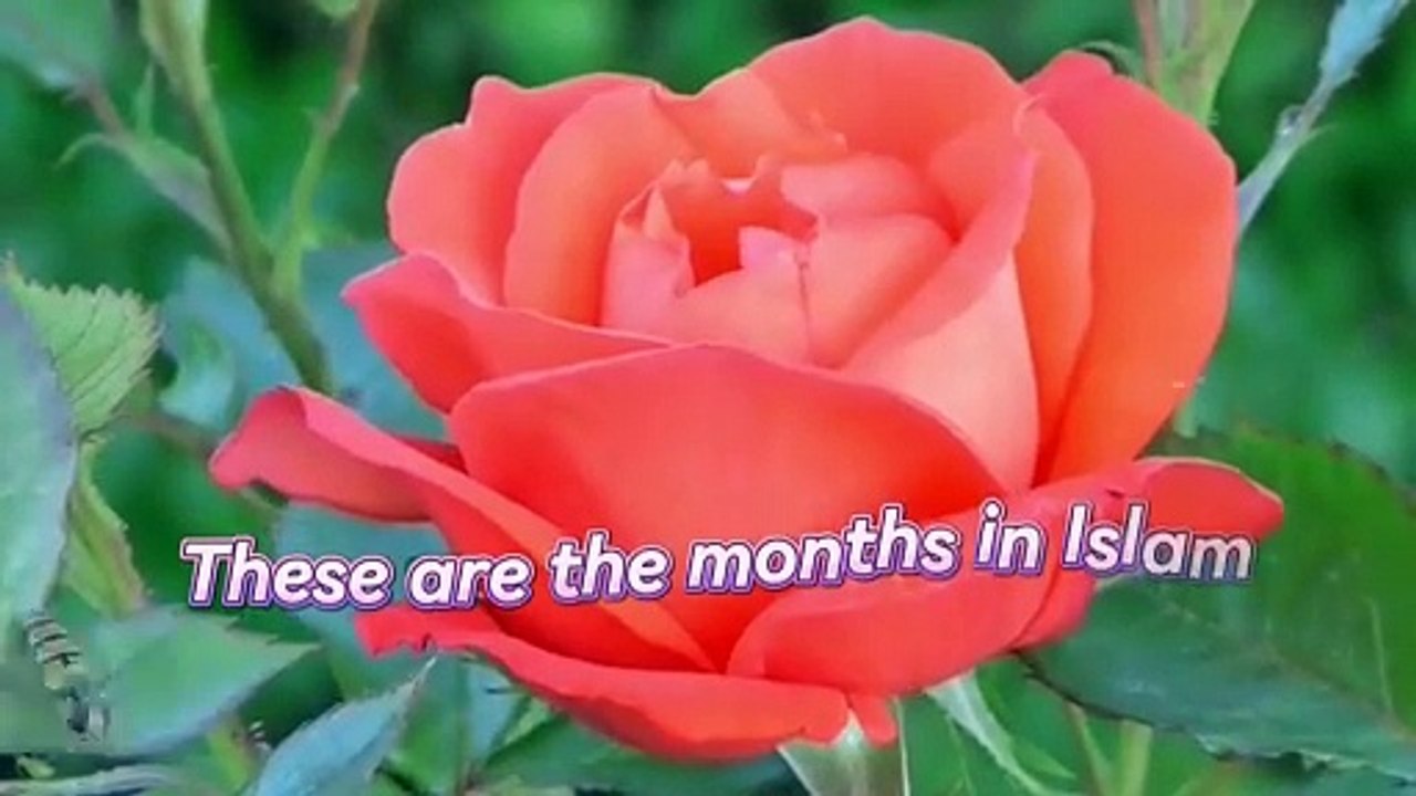 These are the months in Islam | Learn 12 Islamic Months for Kids | Islamic Rhymes for Children