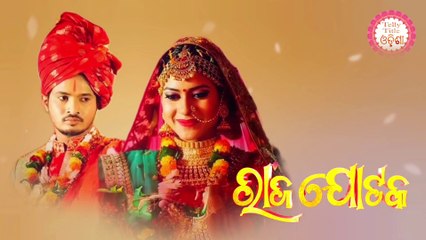 Raja Jotaka - Title Song 1 - Colors Odia - Odia Mega Serial