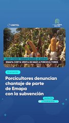 Porcicultores denuncian chantaje de parte de Emapa con la subvención