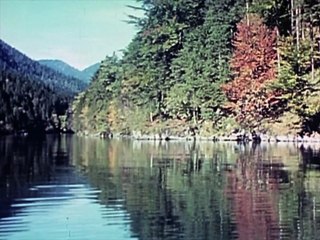 Hitler's Handmaidens 2of4 Nazi She-Devils