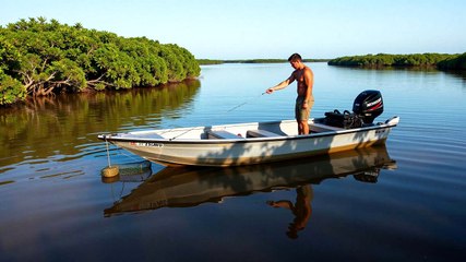 Sweetheart The Saltwater Crocodile