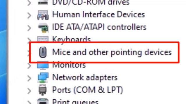 Solved - Mice and other pointing devices disappearing from Device Manager