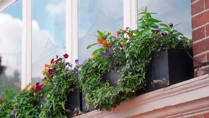 Call the Bailiffs Time to Pay Up S02E04 (10 August 2022)