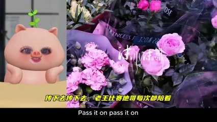 你信吗？战哥和啵啵又在同一个城市出现了…太巧了！ Can You Believe It? ZhanGe and Bobo Showed Up in the Same City Again... What Are the Odds?! 😳✨