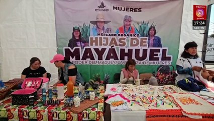 Mujeres crean tianguis orgánico en Hidalgo; promueven el maguey