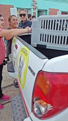 Amigos de cuatro patas: lo que quedó de los rescates del 7 de marzo