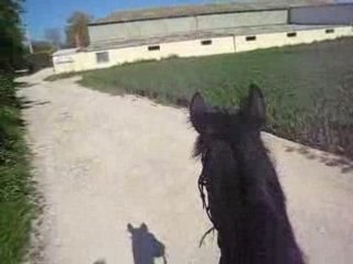 Ballade à cru sur ma PS 2