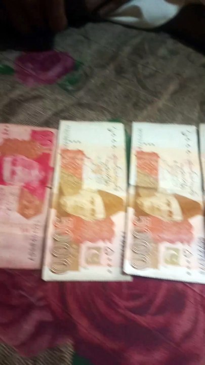 My Pocket Money