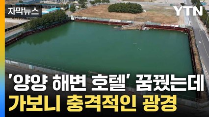 [자막뉴스] 바닷물에 잠긴 '흉물' 호텔...100억 원 투자금 '공중분해' / YTN