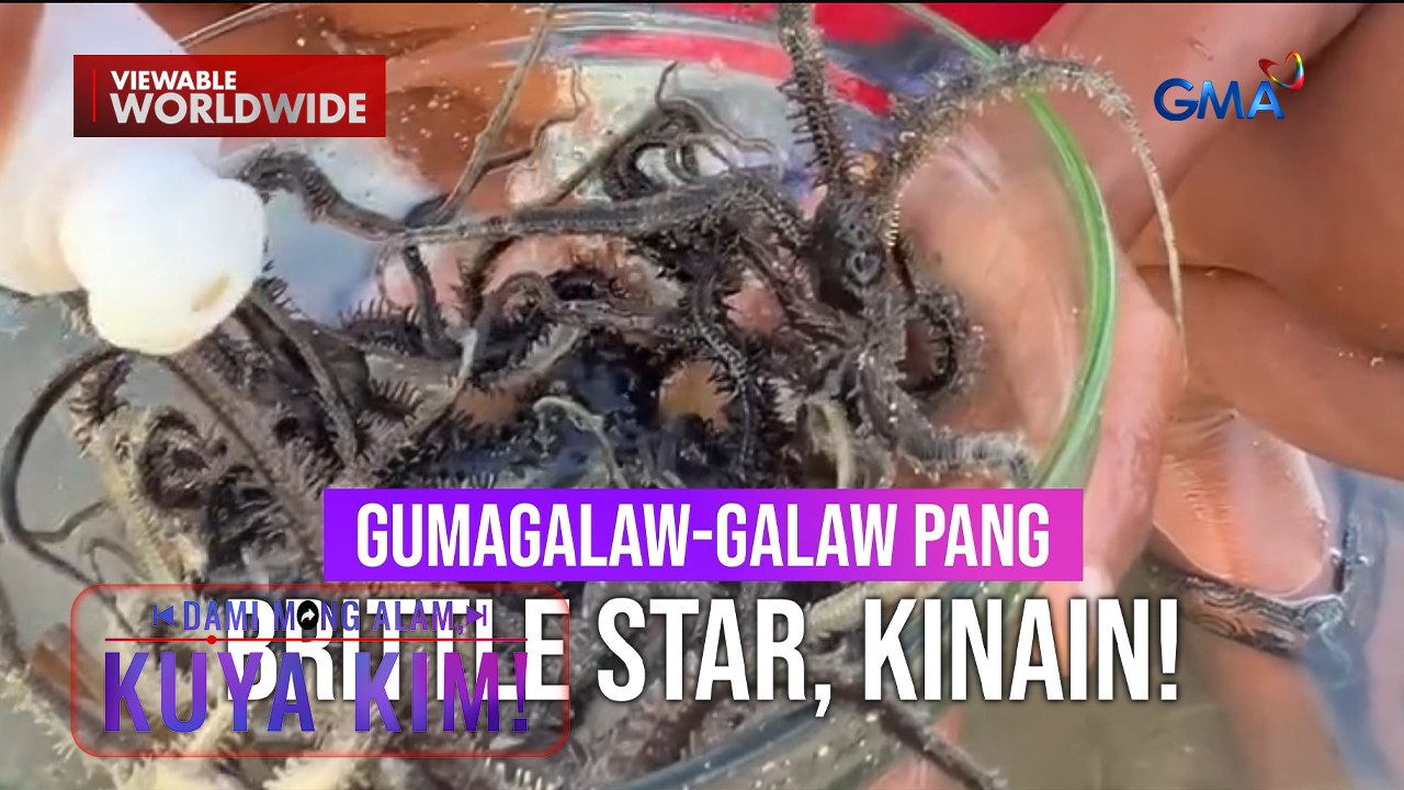 Batang lalaki, nag-mukbang ng gumagalaw pa na brittle star sa Masbate?! | Dami Mong Alam, Kuya Kim!