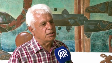 Akdeniz kıyılarında görülen köpek balıkları, yavru ve zararsız