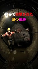 世界で発見された 謎の痕跡 0425