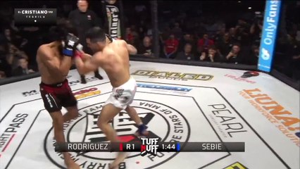 Epic Knockout! Ernesto Rodriguez Dominates Mahmoud Fawzy Sebie 🥊