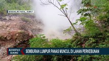 Penampakan Semburan Lumpur Panas Rusak Kebun Warga Mandailing Natal, Cemari Sungai dan Udara