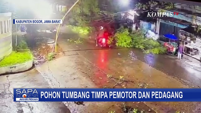 Rekaman CCTV Pohon Tumbang Timpa Pemotor dan Pedagang di Bogor, Begini Kondisi Korban