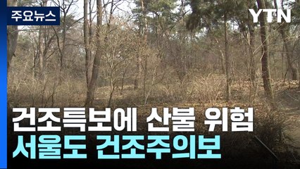 강원·경북 동해안 '대형산불 위험예보'...서울도 건조주의보 / YTN