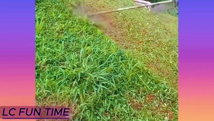 Hilarious Village Tale of Gulla Mochi and His Unique Shoes 😂