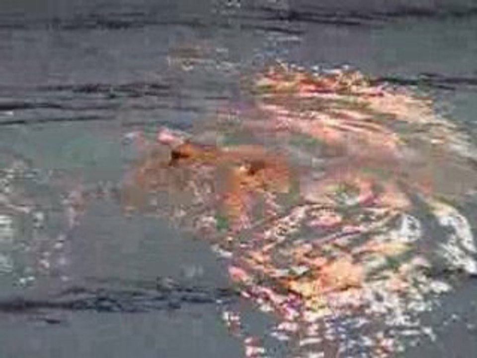 Championnat d'Europe Juniors 2008 Duo Allemagne