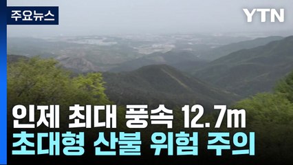 인제 최대 순간풍속 12.7m...동해안 '대형산불 위험예보' / YTN