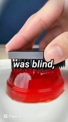 If Everyone Was Blind, Would Day and Night Still Matter?