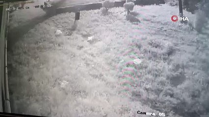 Şaşkın hırsız kamerada! 50 bin lirayı aldı, kendi telefonunu bıraktı