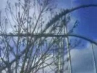 Le Sylverstar d'Europa-parc