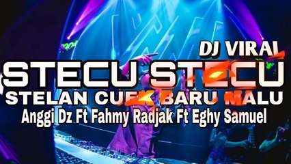 DJ VIRAL STECU STECU🌴ANGGI DZ Ft FAHMY RADJAK Ft EGHY SAMUEL NEW REMIX 2025
