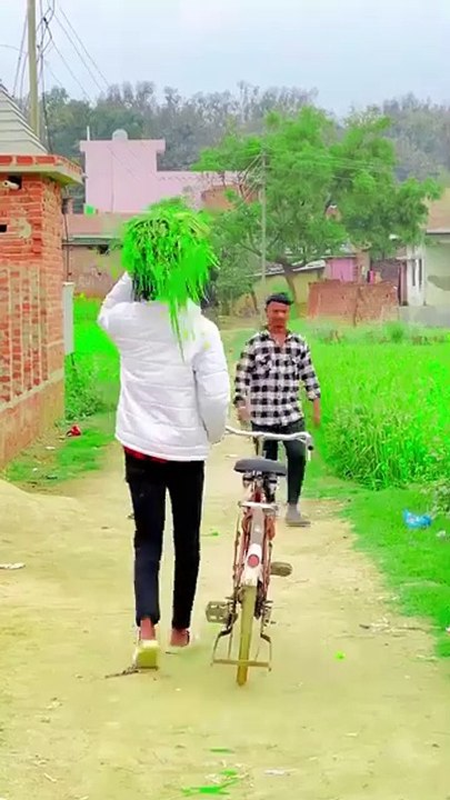 funny video
