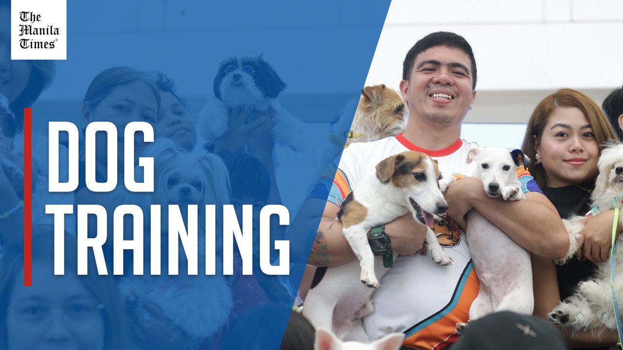 Dog obedience training at SM