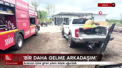 Düzce'de aracının içine giren yılanı böyle uğurladı: Bir daha gelme arkadaşım