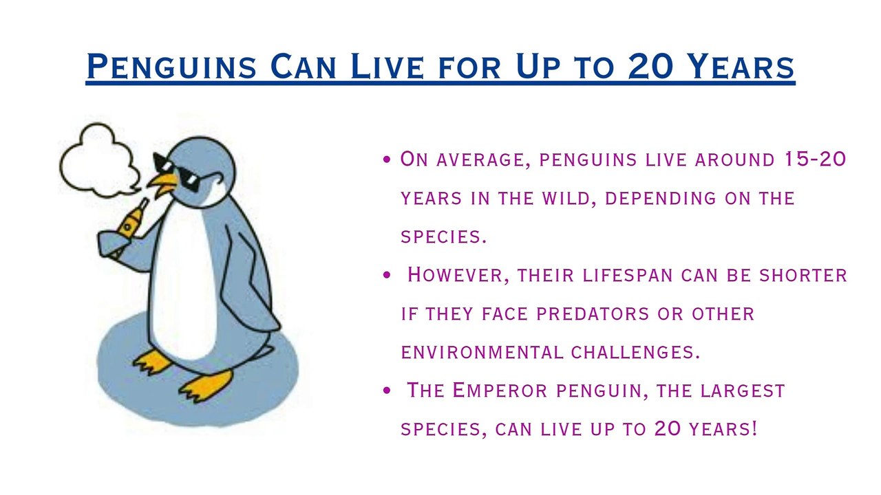 8 Fascinating Facts About Penguins | Penguin Facts You Didn’t Know!