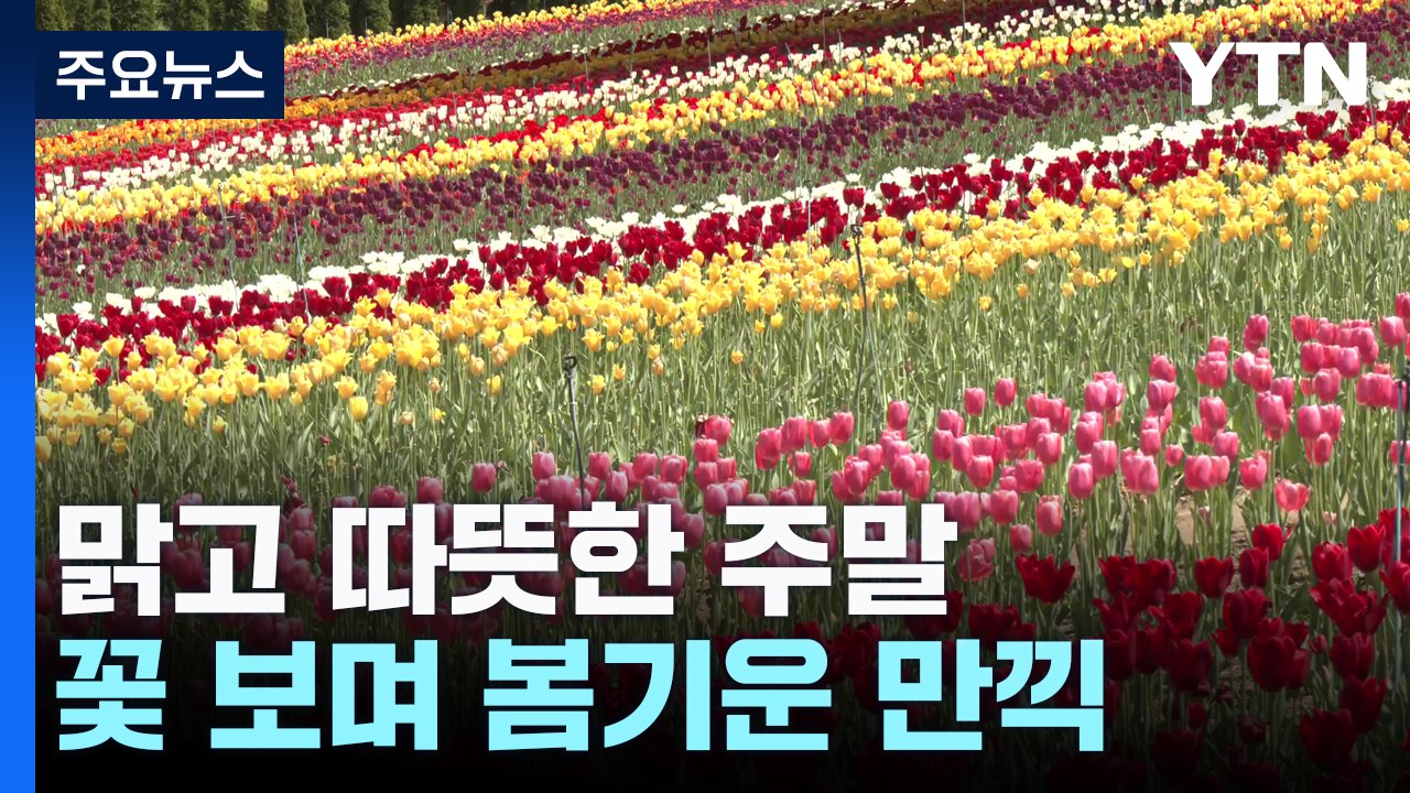 맑고 따뜻한 주말, 만개한 꽃 보며 봄기운 만끽 / YTN