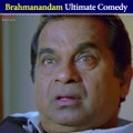 Brahmanandam Super Hit Comedy Scene | Hindi Dubbed Movies | South Indian Movies | Rakhwala Pyar Ka