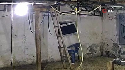 Bolu’da aç kalan ayı kümese girmeye çalıştı! O anlar kamerada