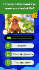 Baby Monkeys Survival Quiz: 4 Fascinating Facts You Should Know! 🐒