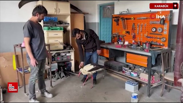 Karabük'te bitkin haldeki leyleğe oto kaporta ustası sahip çıktı