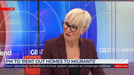 Labour's landlord scheme 'another example of Government putting illegal migrants before Britons', Dawn Neesom claims