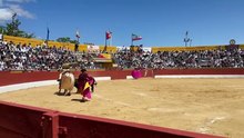 Tercio de Varas - 3º Novillo (Alicia Chico) || Feria del Aficionado 2025 (26/04/2025)