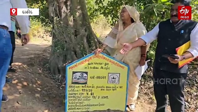દાહોદ મનરેગા કૌભાંડમાં એકાઉન્ટન્ટ સહિત 4ની ધરપકડ, કામ વગર બિલો પાસ કરાવી 71 કરોડની ઉચાપત