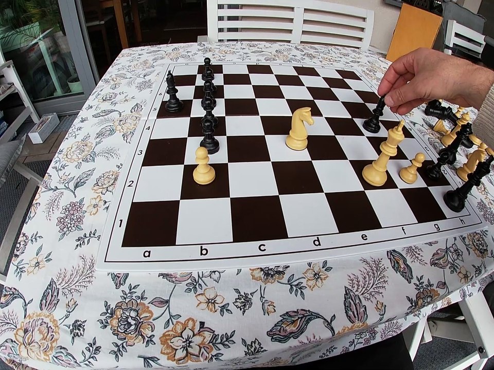 Chess study composed before 2004 in Siezenheim by Peter Krug