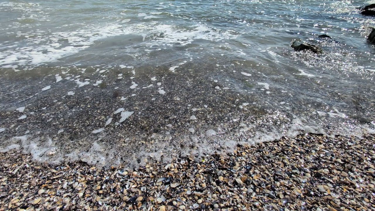 Relaxing Black Sea Waves on Shell Beach - Soothing Nature Sounds for Sleep & Relaxation