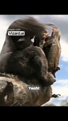 King Kong's Epic Battle - Unbelievable Fight Part 3 🦍