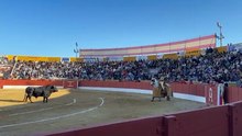 Tercio de Varas - 4º Toro (Cuadri) || Feria del Aficionado 2025 (26/04/2025)