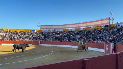 Tercio de Varas - 4º Toro (Cuadri) || Feria del Aficionado 2025 (26/04/2025)