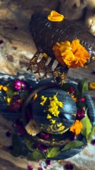 Mahakal Devotional Video | No Copyright | Shivratri Special Traditional [देवता/ Hindu ] Aarti | Bhajan