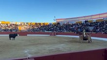 Tercio de Varas - 6º Toro (Cuadri) || Feria del Aficionado 2025 (26/04/2025)